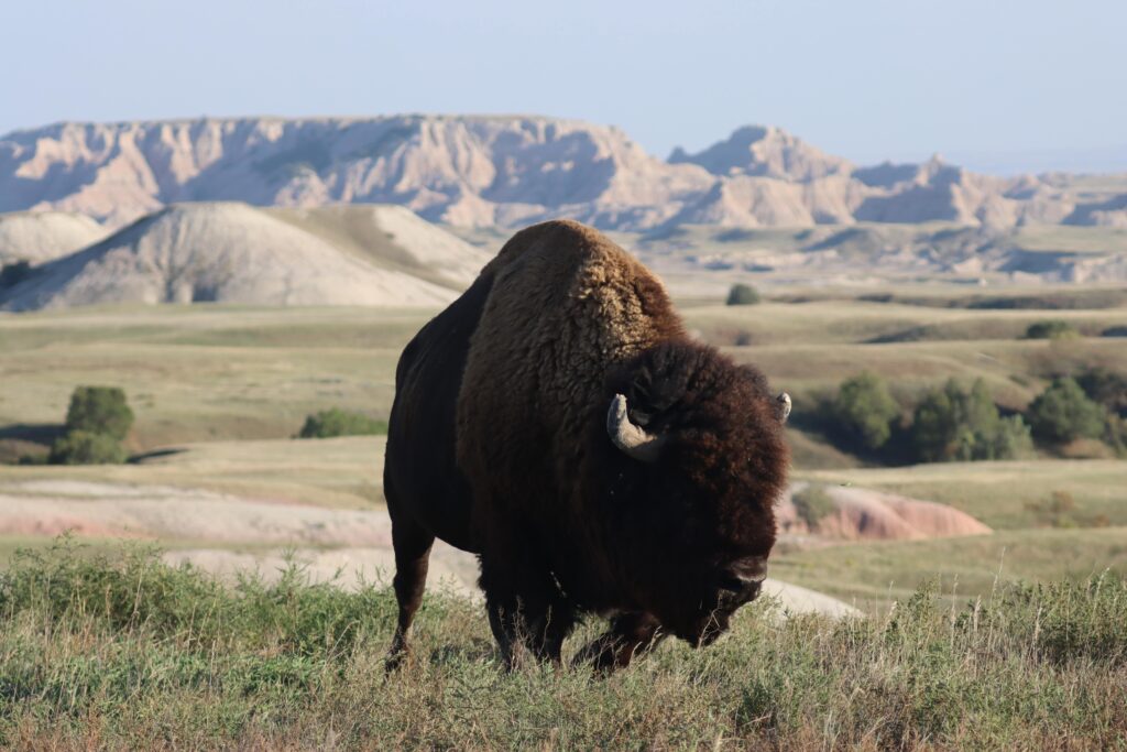 Experience the badlands like a local