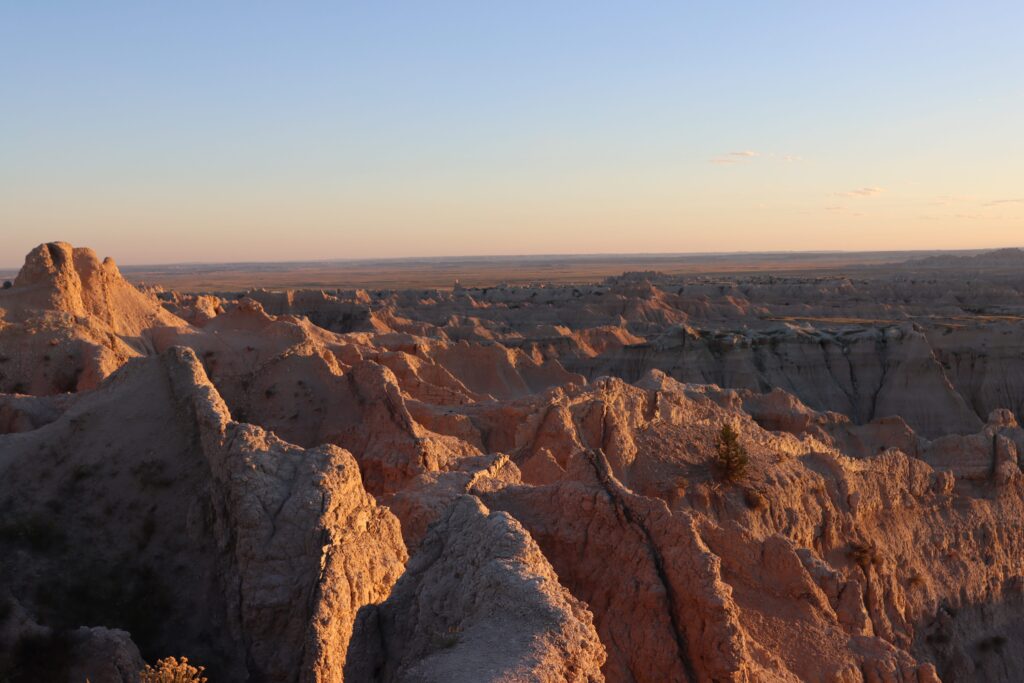 Golden-hour sunlight illuminates layered rock formations and sparse shrubs in badlands national park, south dakota.